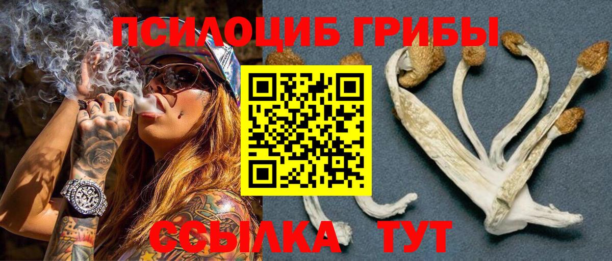 Псилоцибиновые грибы Magic Shrooms Йошкар-Ола