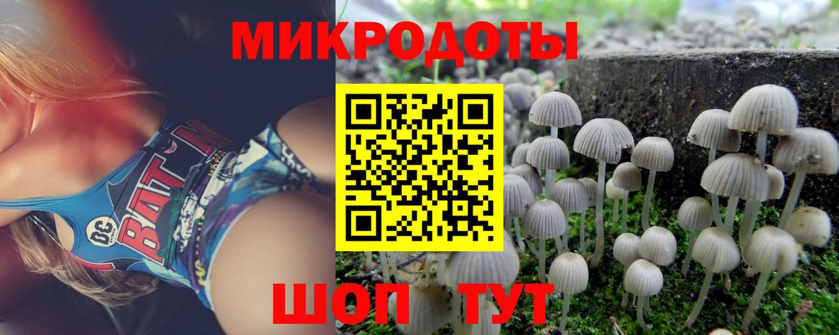 Галлюциногенные грибы Psilocybe  Вход с VPN  Йошкар-Ола 
