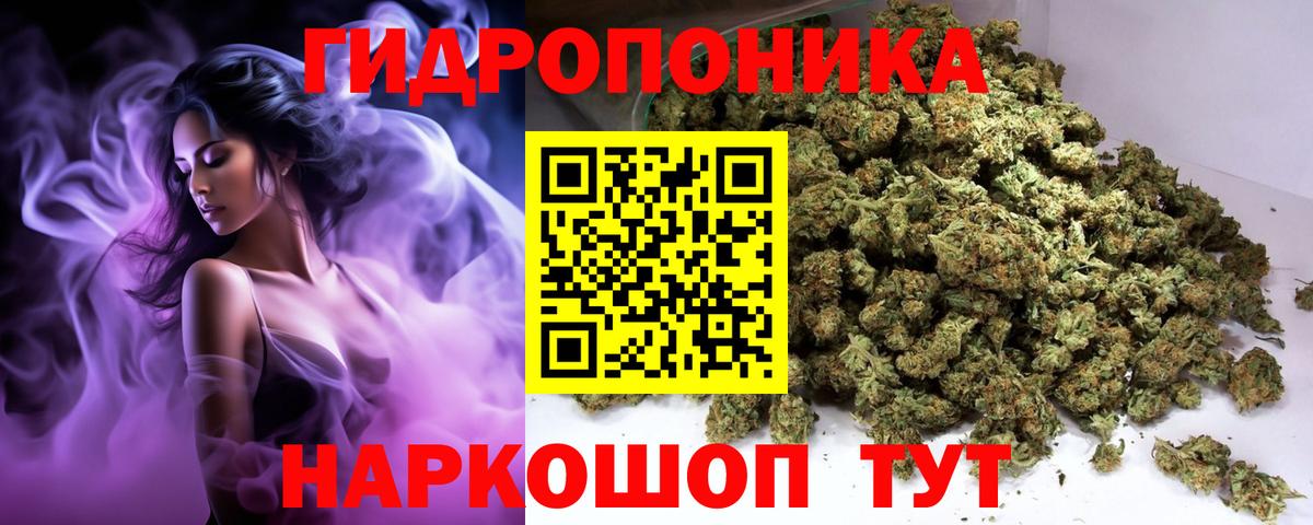 Канабис план  Каннабис Bruce Banner  Бошки марихуана SATIVA & INDICA  Каннабис планчик  Йошкар-Ола  Вход с VPN 